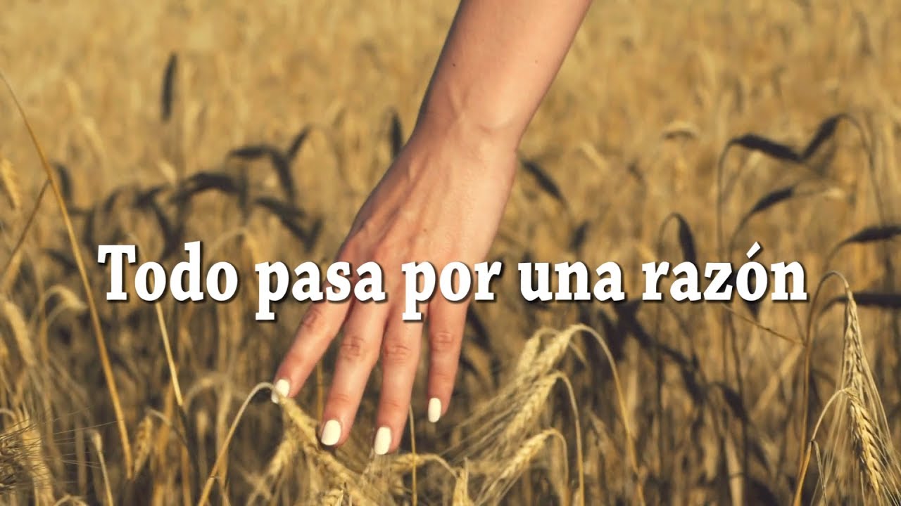 Watch Todo pasa por una razón - Reflexiones Now Todo pasa por una razón - Reflexiones