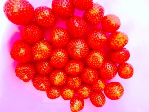 Karuna Reiki Volume 1