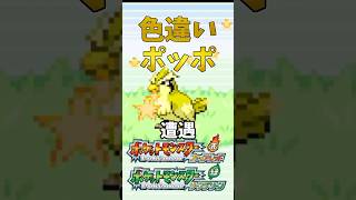 【ポケモンFRLG】色違いポッポに遭遇！ #ポケモン #ポケモンfrlg #shorts
