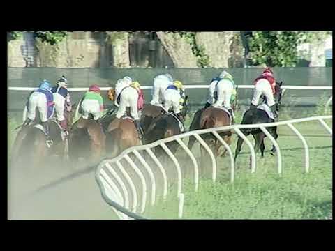 Napoli Galoppo 15/06/2021 - 5ª corsa