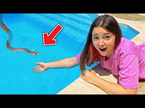 HAVUZDA YILAN BULDUK! ŞOK OLDUK! (Gerçek)
