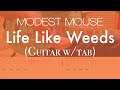 Modest Mouse - Moon & Antarctica Dissected - Life Like Weeds (Guitar Tab)