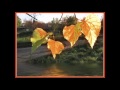 Падают листья, кружется осень 
