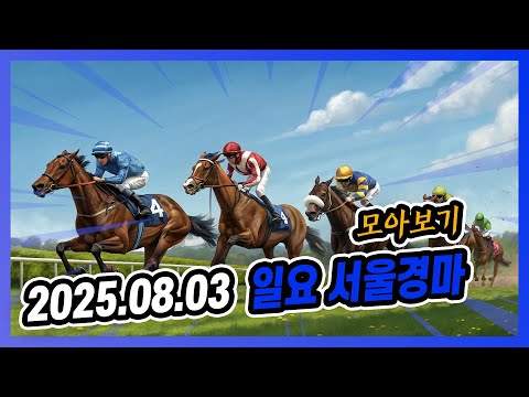 2025년 8월 3일 일요 서울경마 전체경주 모아보기