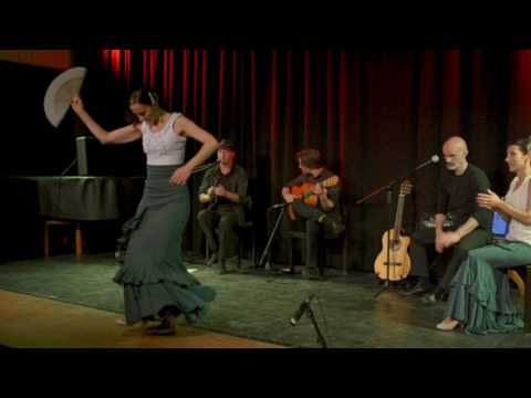 Flamenco Acompaz