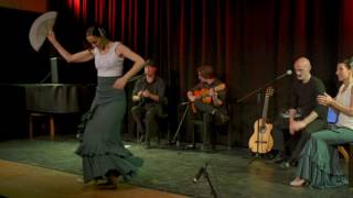 Flamenco Acompaz