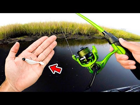 Watch Fishing w/ Tiny Swimbait for Whatever Bites! (Bank Fishing