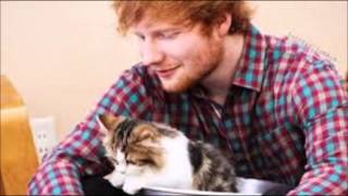 Ed Sheeran  Trap Queen