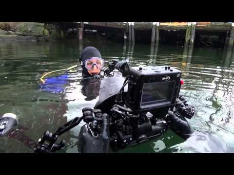 Below The Surface Of Victoria Harbour (Video)