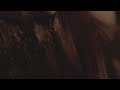 Doodhpatti Teaser