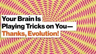 Your Brain Is an Illusion Factory: Time, Color, Causality | Dean Buonomano