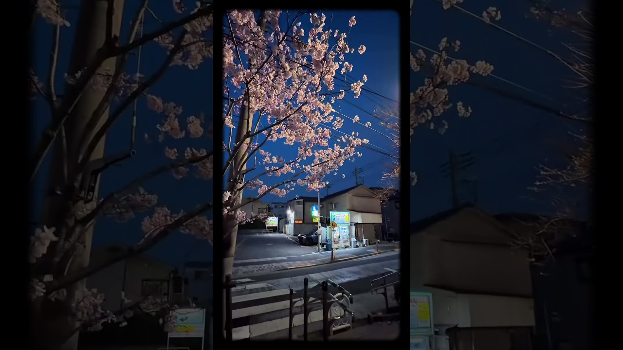 Framing is a choice.📸🇯🇵 #Shorts #Cinematic #JapanLife #japan #streetphotography