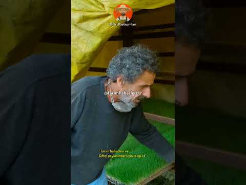 Recep Abimizden Çiftçilere tavsiyeler. #hayvancılık #çiftçi #keşfet #shorts #youtube