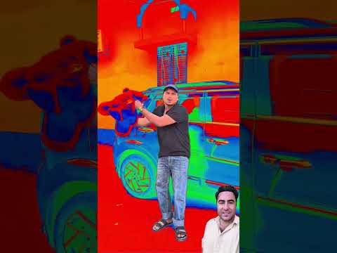 Duckling saves seriously injured cat#DuckRescue #CuteAnimals #AnimalRescue• Welcome to Duck's Quest!