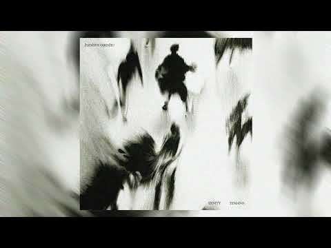 SXNITY, TEMANO - Žodžius girdžiu