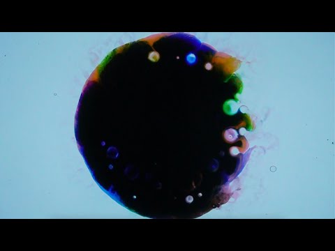 The Dead Shakers - Whenever I Hear A Human Being Called A Human Shield [OFFICIAL VISUALIZER]