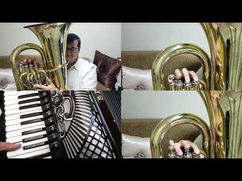 Hino 197 | Senhor, por Teu poder | Acordeon e Tuba