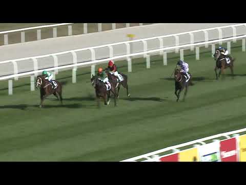 2021.10.17. 05. futam - REPÜLŐ HENDIKEP (I.o.)