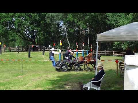 Fahrturnier Alfhausen 22.5.2022