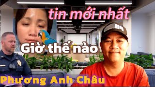 Attorney Phuong Anh Chau: The court does not need to collect evidence.