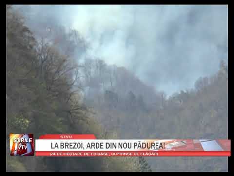 LA BREZOI, ARDE DIN NOU PADUREA!