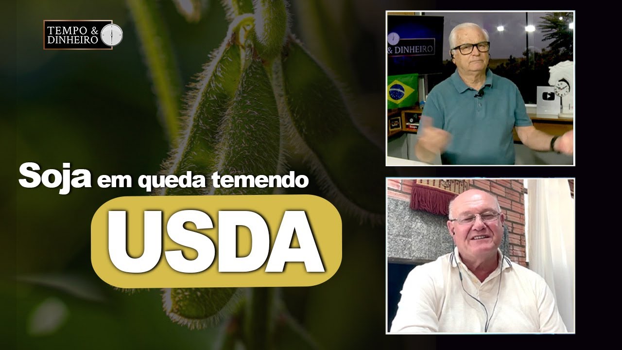 Soja em queda temendo USDA