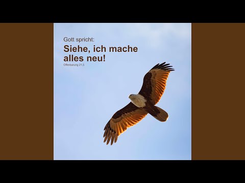 Es ist Zeit, Neues zu wagen (Lied zur Jahreslosung 2026) (feat. Reinhard Börner)