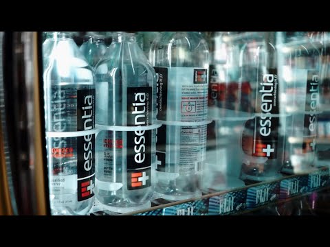 BigWayne SPG - Turtle Shell Music (Official Music Video)