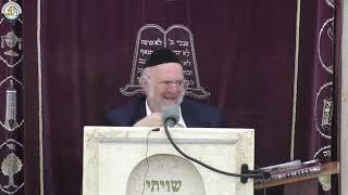 הרב ברוך רוזנבלום פרשת תולדות ה׳תשפ״ו (רבנים שונים) - התמונה מוצגת ישירות מתוך אתר האינטרנט יוטיוב. זכויות היוצרים בתמונה שייכות ליוצרה. קישור קרדיט למקור התוכן נמצא בתוך דף הסרטון הרב ברוך רוזנבלום פרשת תולדות ה׳תשפ״ו (רבנים שונים) - התמונה מוצגת ישירות מתוך אתר האינטרנט יוטיוב. זכויות היוצרים בתמונה שייכות ליוצרה. קישור קרדיט למקור התוכן נמצא בתוך דף הסרטון