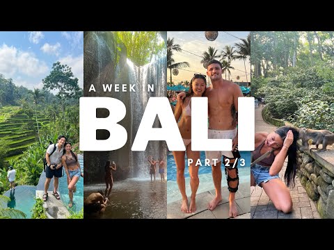A WEEK IN BALI | MONKEY ATTACK, UBUD, GYM, BEACH CLUB & NIGHTLIFE (Part 2)