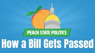 How Does a Bill Become Law? | Peach State Politics