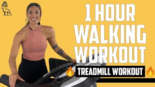 60 MIN TREADMILL WALK! | Treadmill Follow Along!