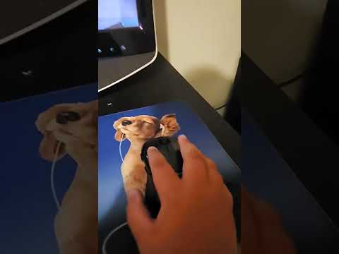 How to move your camera in roblox