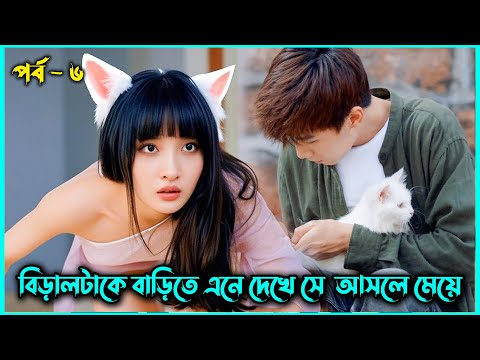 বিড়াল মেয়েটা যখন ছেলেটাকে ভালবাসার কথা জানায় ! | Make A Wish Drama Explain | Rushmilar Golpo