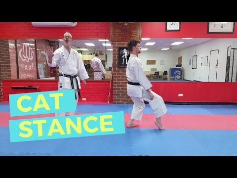Learn Karate @ Home - Cat Stance