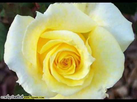 คิดเอาเอง - อนุชิต จุรีเกษ.wmv