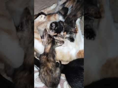 kaya pala lage xa gutom....