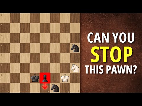 The Most Beautiful Knight Study Ever Made — Herbstmann & Kubbel’s Miracle Draw (1934)