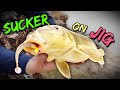Video Thumbnail for Spring Walleye and Sucker Fishing on Qu’Appelle River 2022 (Surprise Catch!)
