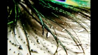 Back to earth - Promise to your heart