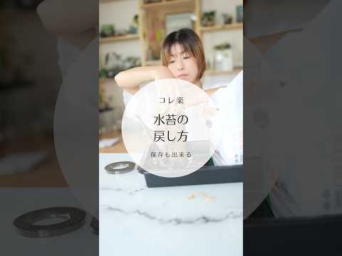 シダを室内に取り込む時期はいつ？簡単にメンテナンスするにはどうすればよいでしょうか?  庭園