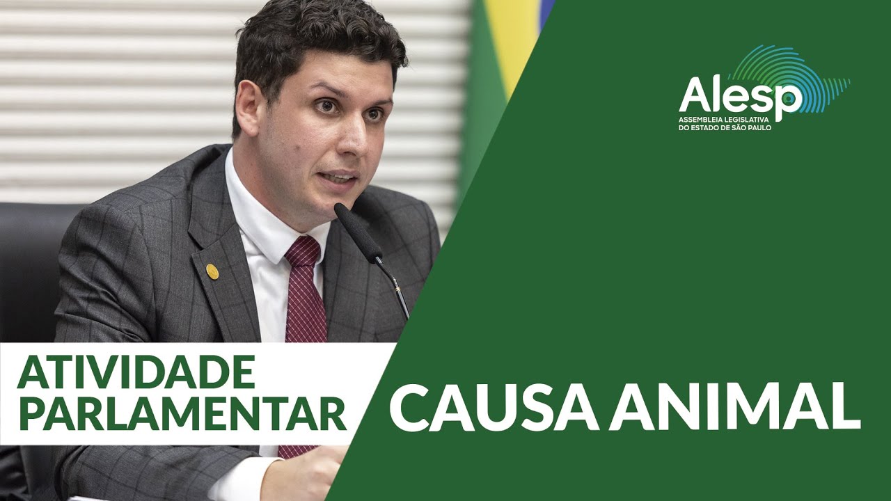 Atividade parlamentar realiza workshop para auxiliar entidades na causa animal