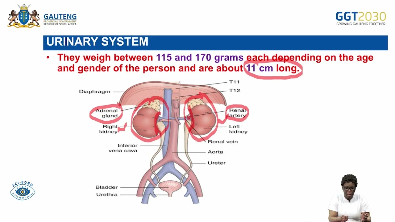 Life Sciences Grade 11