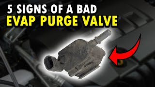 5 Symptoms Of A Bad EVAP Purge Valve & DIY Fixes