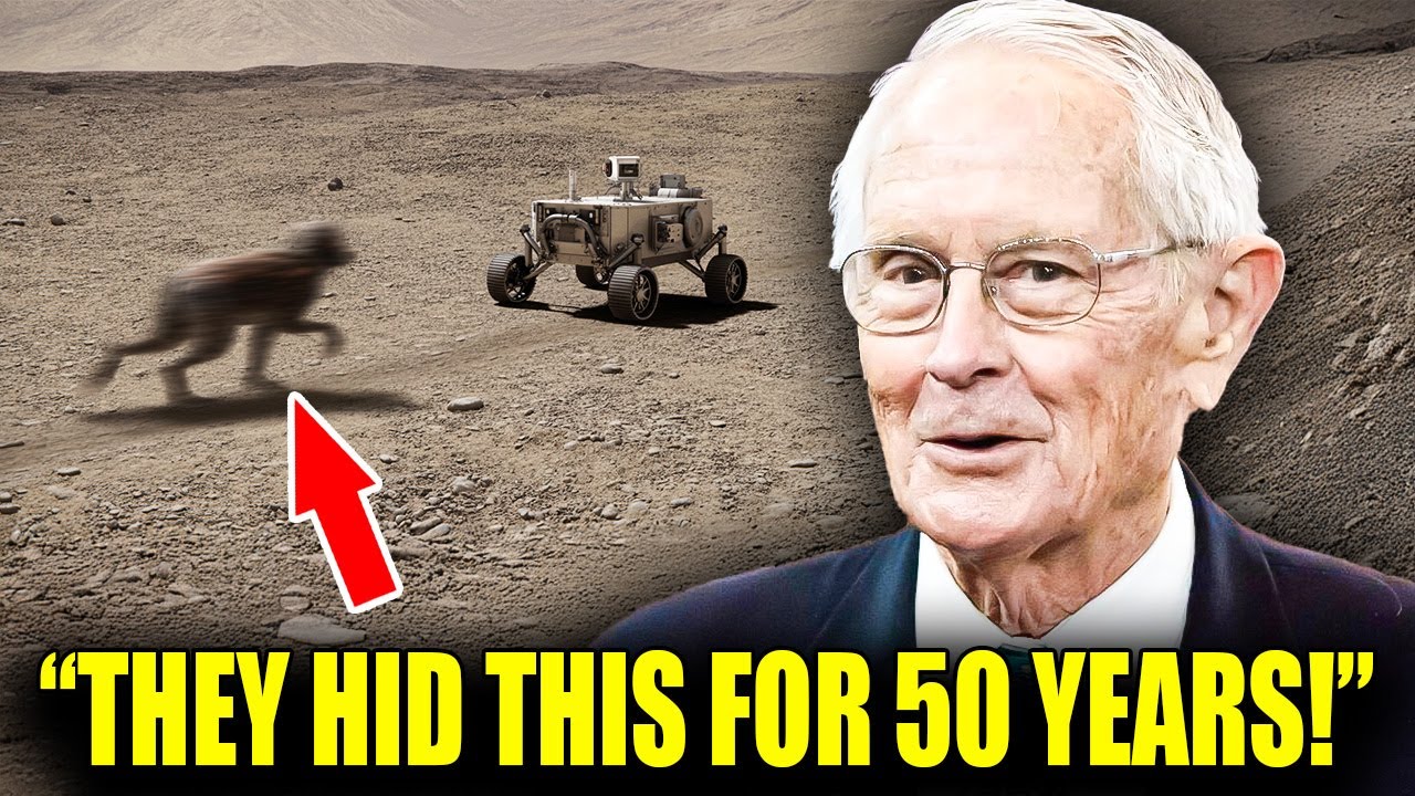 YouTube Thumbnail Downloader FULL HQ IMAGE