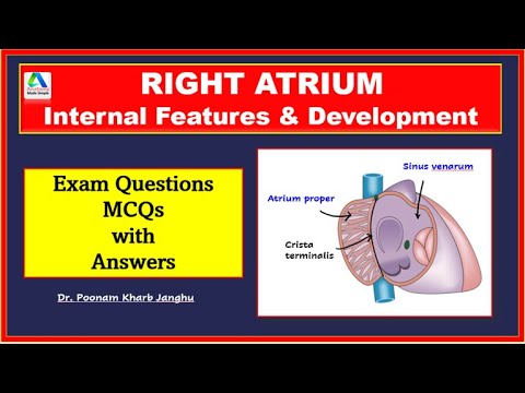 Right atrium anatomy | External and internal features of right atrium| [Simplified]