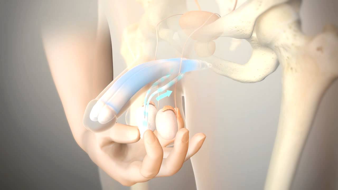 Carlos Wilson Menezes-1