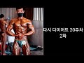 다시 다이어트 20주차 2화