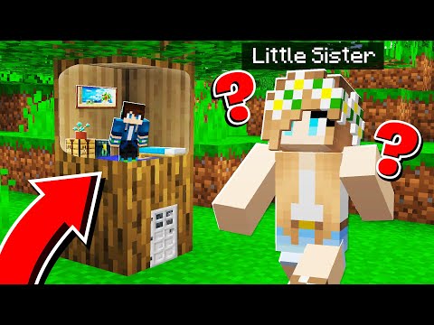 How to Build a TINY SECRET BASE Inside a TREE in Minecraft!
