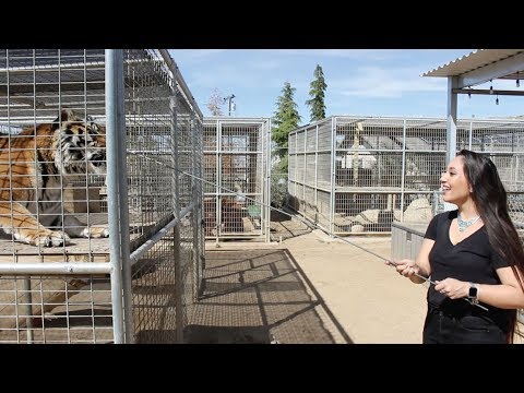 Welcome to humanKIND!